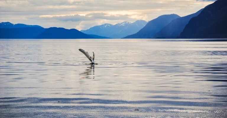 Alaska Native Language Immersion Supports Flood-Affected Kids