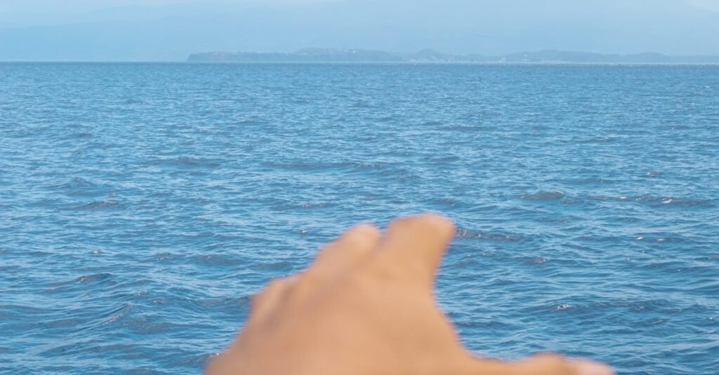 Bregman's vision for term limits