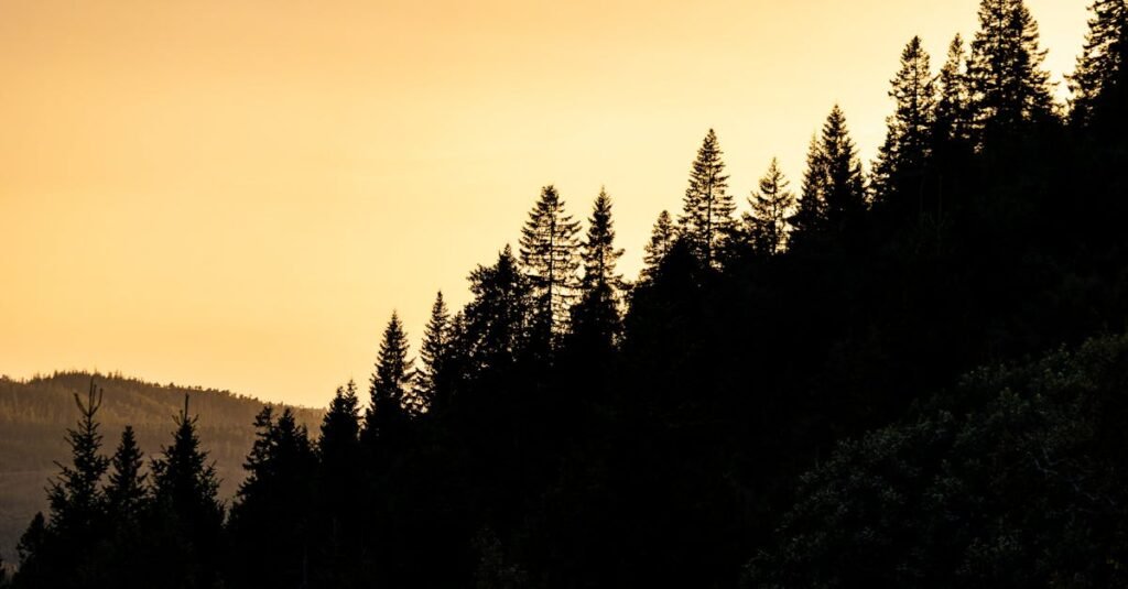 Northern Colorado victory