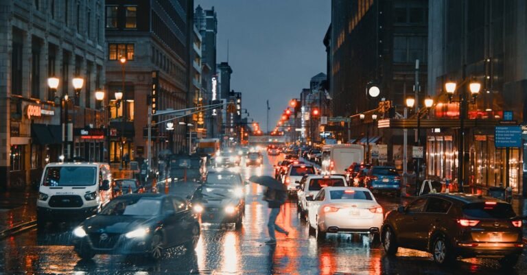 Indiana State Sycamores