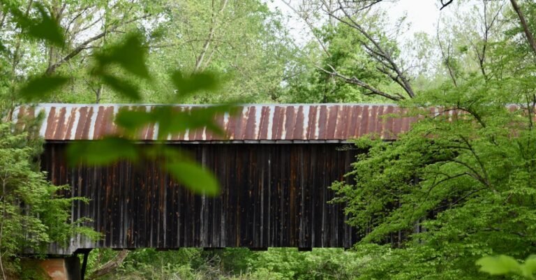 Catawba County schools