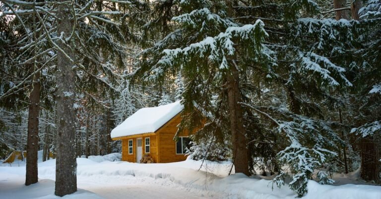 Hilton Minnesota ICE