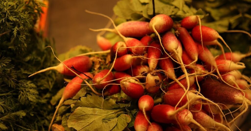 human-based toxicology services