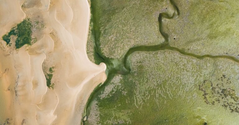 Indianola Mayor 2025 Review