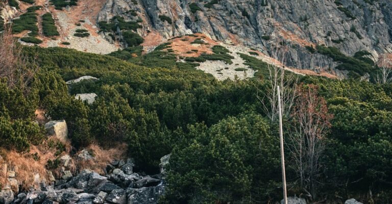 Mountain Brook school closures