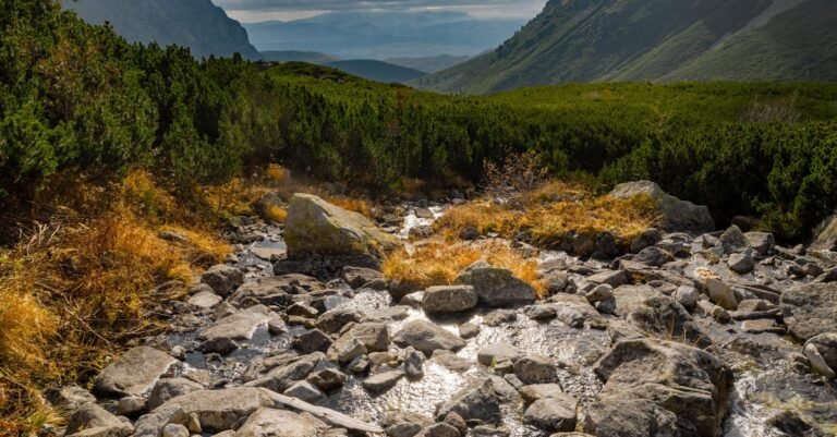 Mountain Brook Schools closed