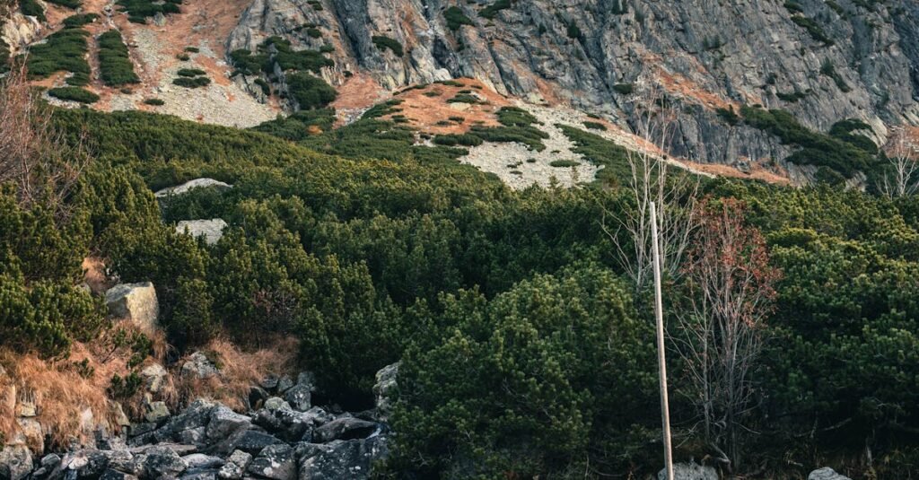 Mountain Brook Schools closed