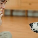 books that reward attention