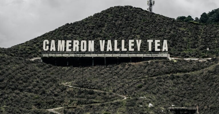 Cameron University Homecoming 2026