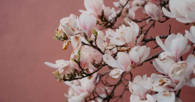 ECU Showtime Steel Magnolias