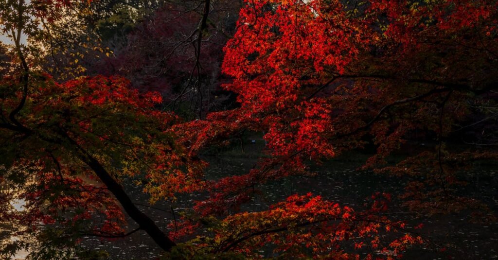 Hijack season 2 episode 7