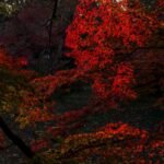 Hijack season 2 episode 7