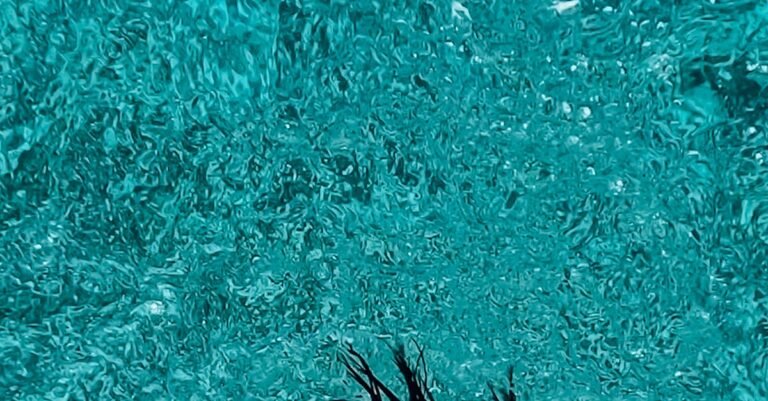 Jordan Poole second half surge