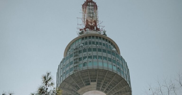 Purito Seoul rebrand