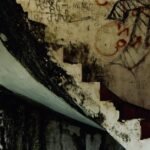 forgotten DCU series