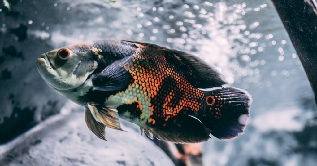 Josh Groban Oscars moment