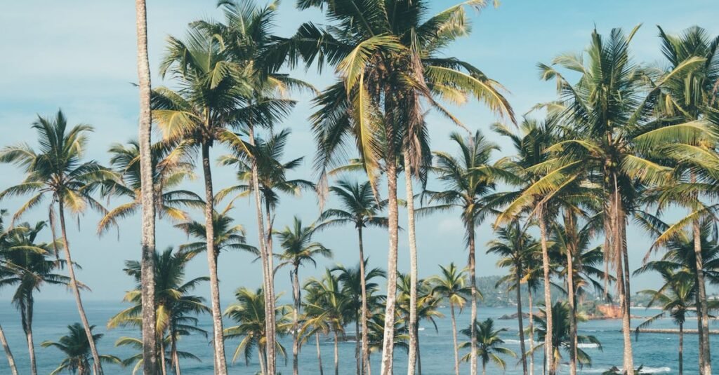 Little Palm Island partnership