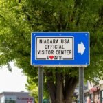 New York I/DD system