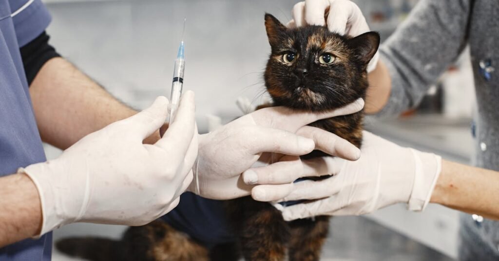pet preventive care