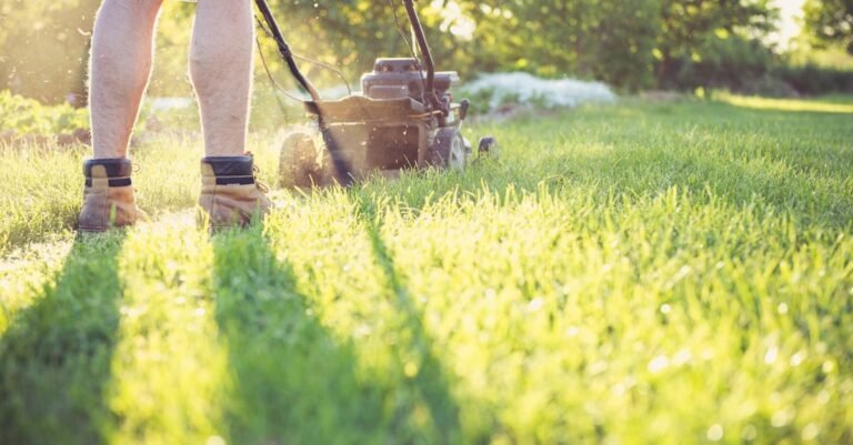 spring lawn care