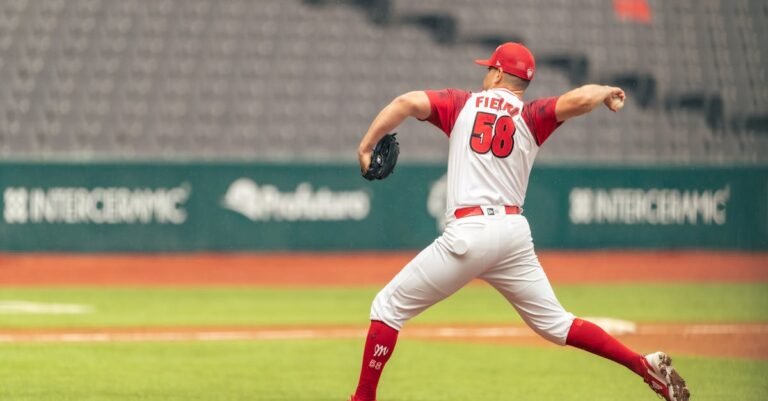 Jiri Prochazka first pitch