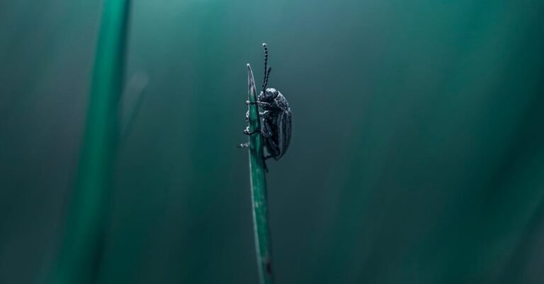 nature photography contest winners