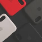 rabies case discovered