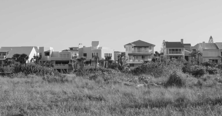 Real Housewives documentary