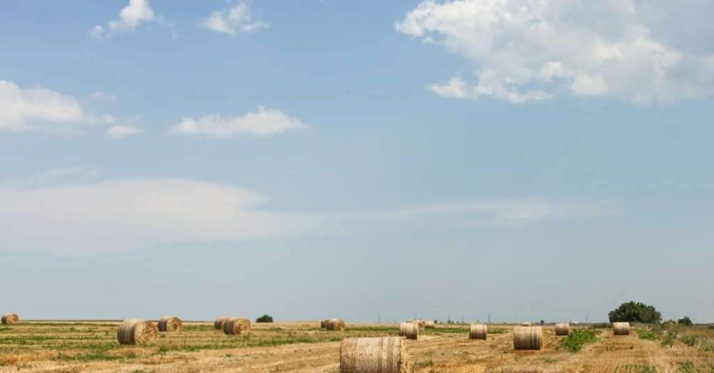 Stanislaus County farms