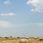 Stanislaus County farms