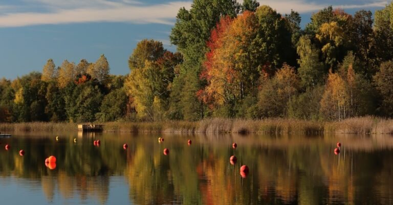 Lake Miltona photo