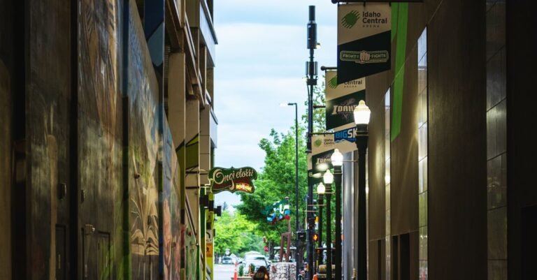 Charlottesville Downtown Mall