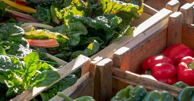 local farmers market
