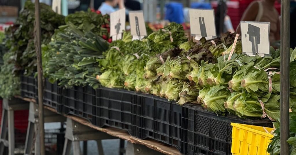 local farmers market